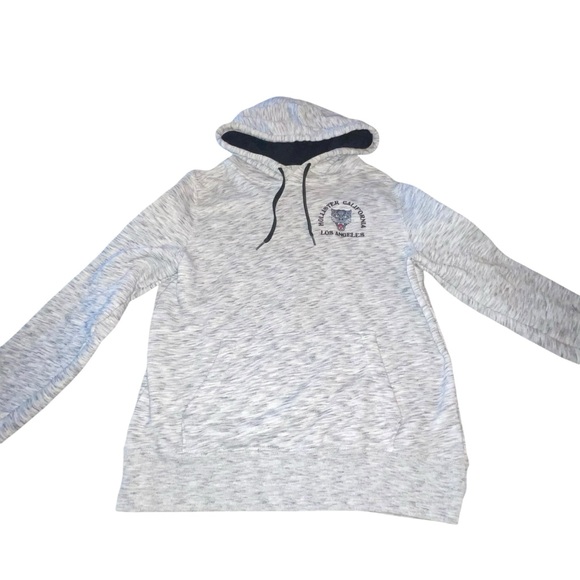 Hollister California Panther Los Angeles Men’s Hoodies Size Small Grey Blue VTG - Picture 1 of 7